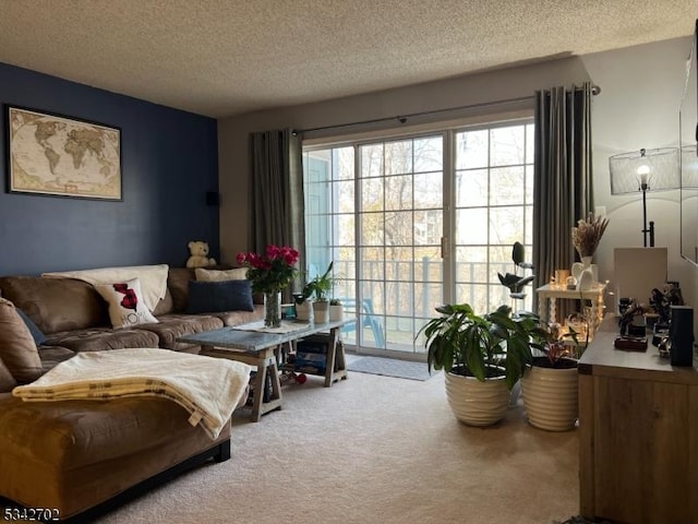 carpeted living area with a textured ceiling