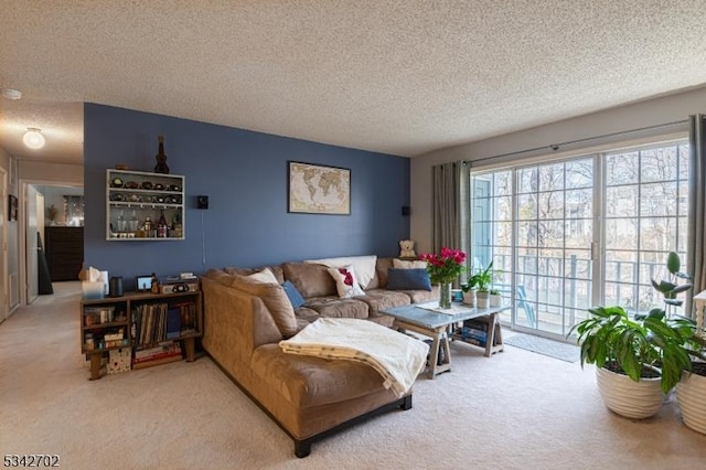 living room with carpet and a textured ceiling