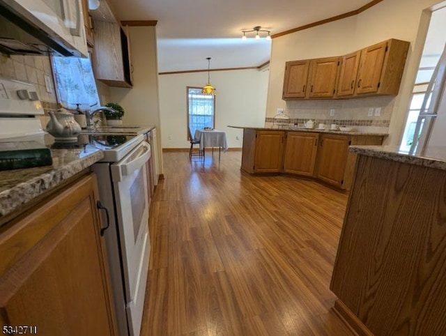 kitchen featuring crown molding, brown cabinetry, white electric stove, and wood finished floors