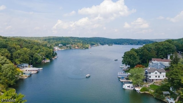 birds eye view of property featuring a water view and a forest view