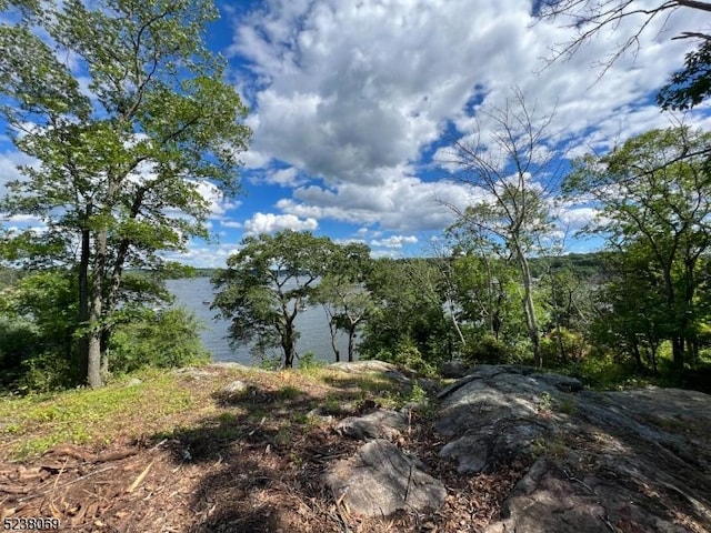 view of nature with a water view