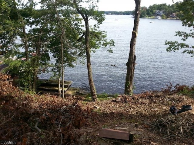 view of water feature