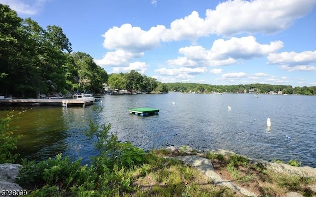 property view of water with a dock