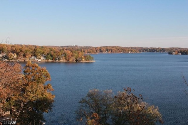 water view featuring a view of trees