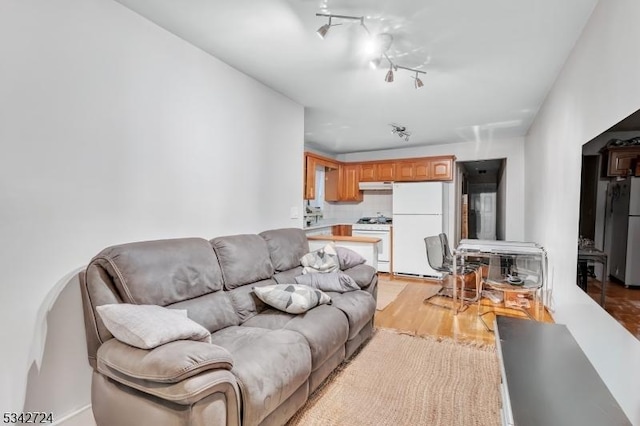 living room with light wood-type flooring and track lighting