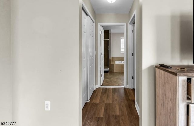 hall featuring dark wood-style floors