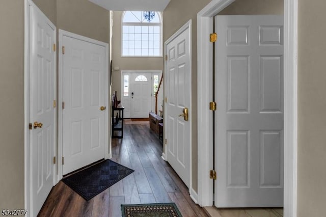 entryway featuring wood finished floors