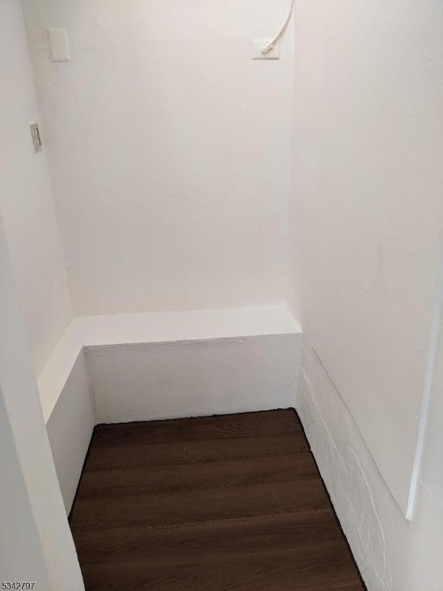 walk in closet featuring wood finished floors