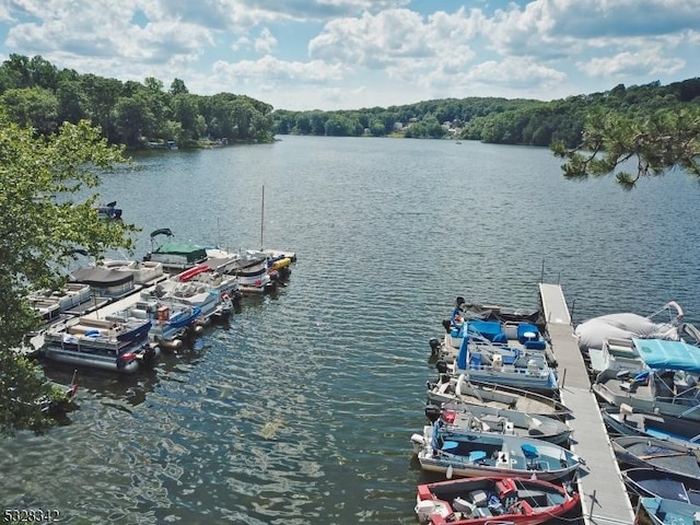 view of dock featuring a water view