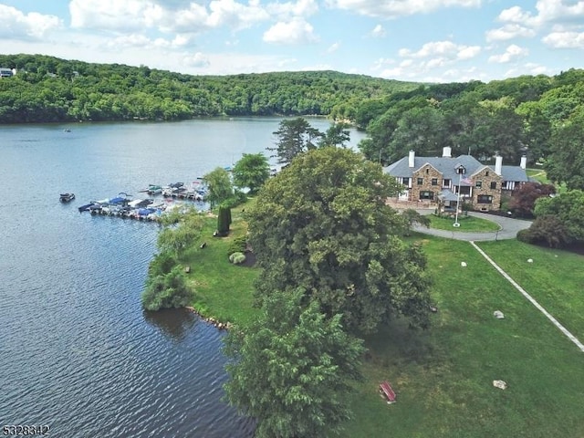 birds eye view of property with a water view and a view of trees