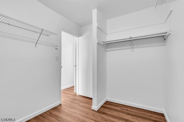 spacious closet featuring wood finished floors