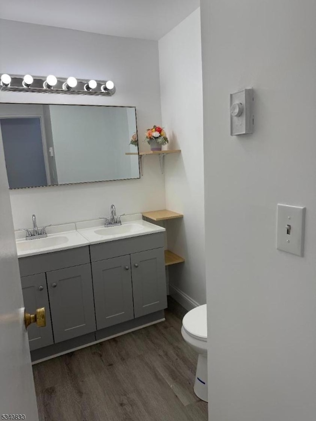 bathroom featuring double vanity, toilet, wood finished floors, and a sink