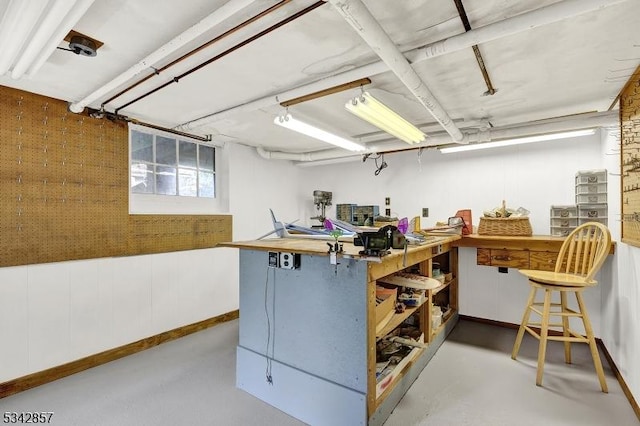 below grade area with a workshop area