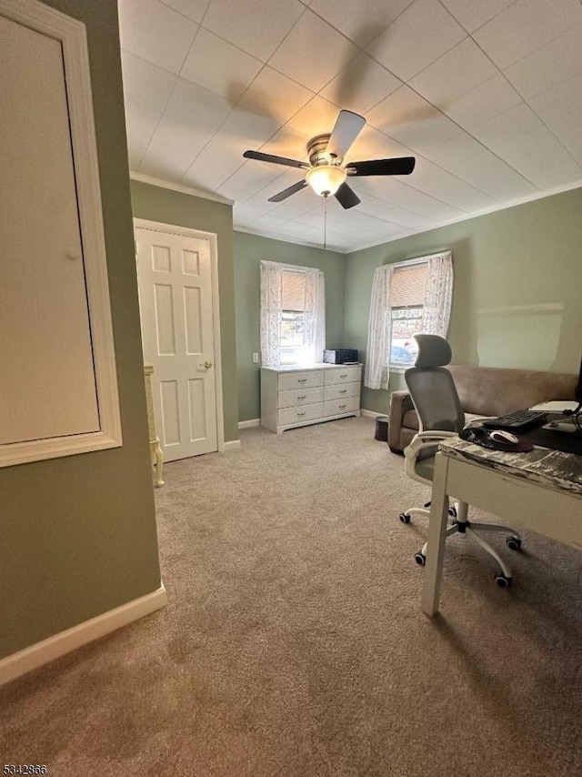 carpeted office featuring ceiling fan, baseboards, and ornamental molding