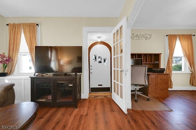 office area featuring french doors, a healthy amount of sunlight, and wood finished floors