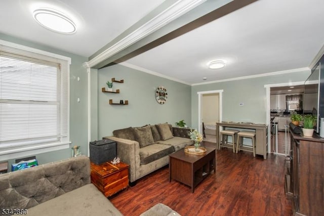 living area with dark wood finished floors and crown molding