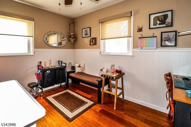 office space with ceiling fan, wood finished floors, and wainscoting