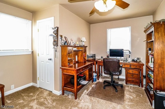 office space featuring carpet flooring, ceiling fan, and baseboards