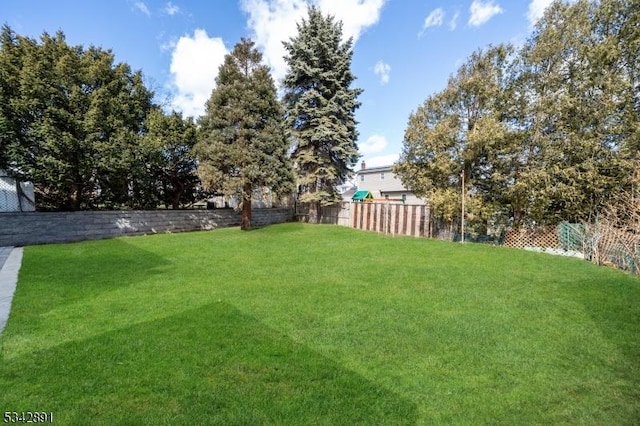 view of yard featuring fence