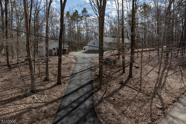 view of road with driveway