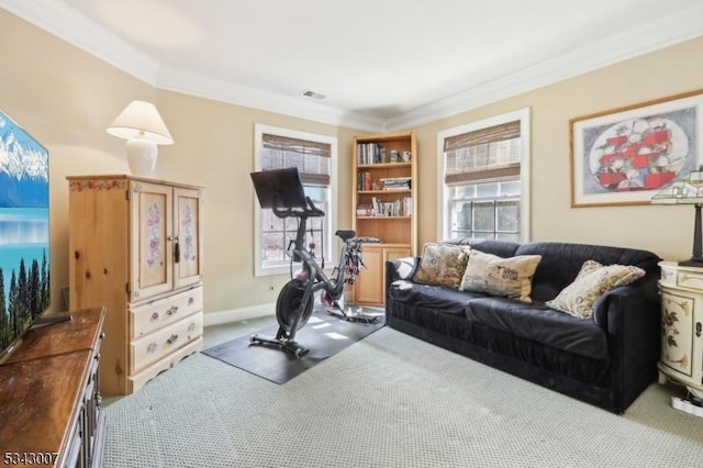 exercise room with baseboards, carpet floors, and ornamental molding