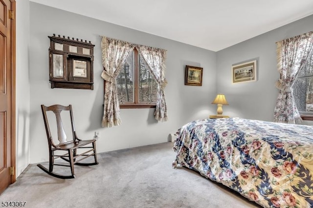 bedroom with carpet