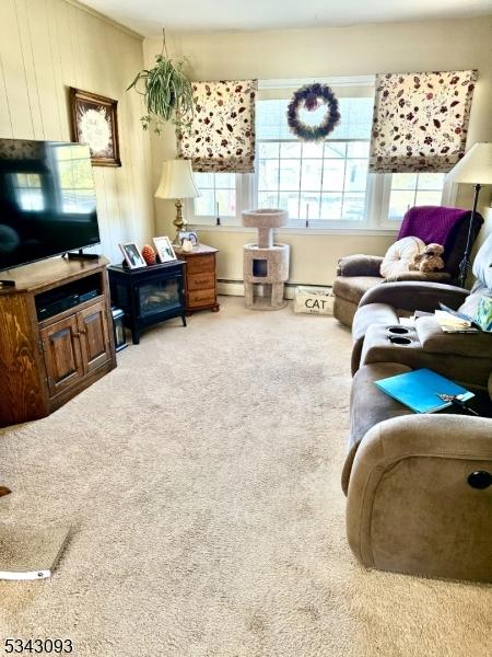 living area featuring a baseboard heating unit and carpet