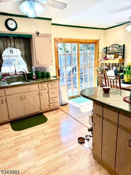 kitchen with crown molding, a ceiling fan, light wood finished floors, and a sink