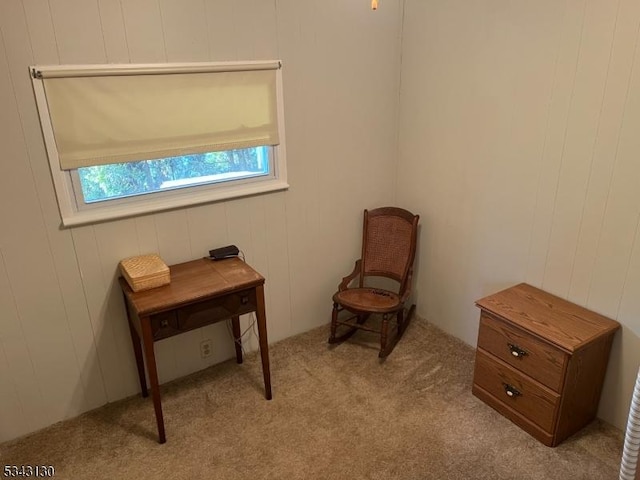 sitting room featuring light carpet