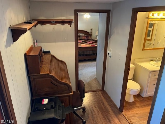 interior space featuring vanity, toilet, and wood finished floors