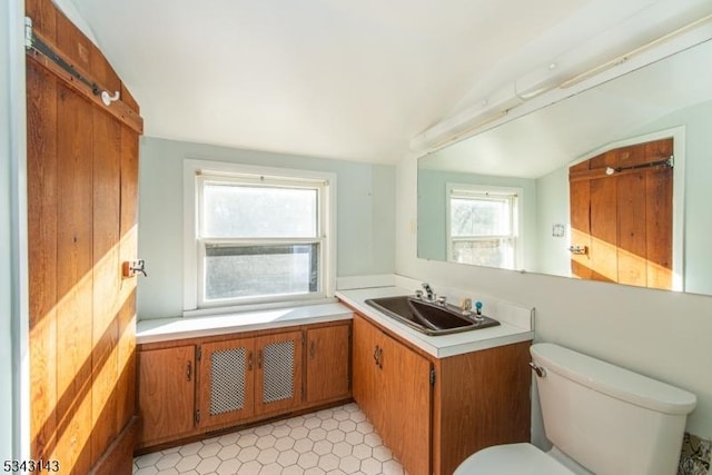 bathroom with vanity, lofted ceiling, and toilet