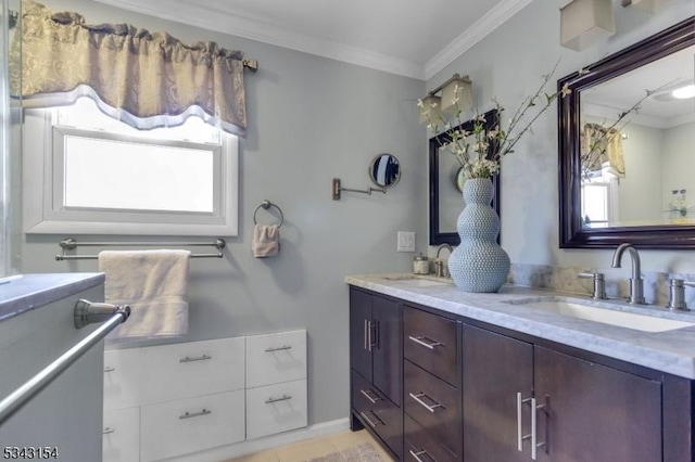 full bathroom featuring a sink, double vanity, and crown molding