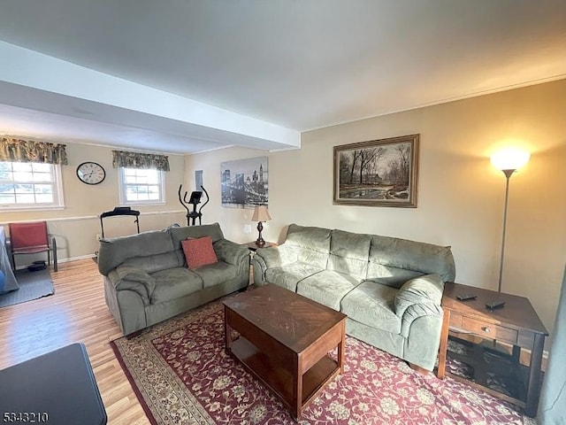 living area featuring light wood-style flooring