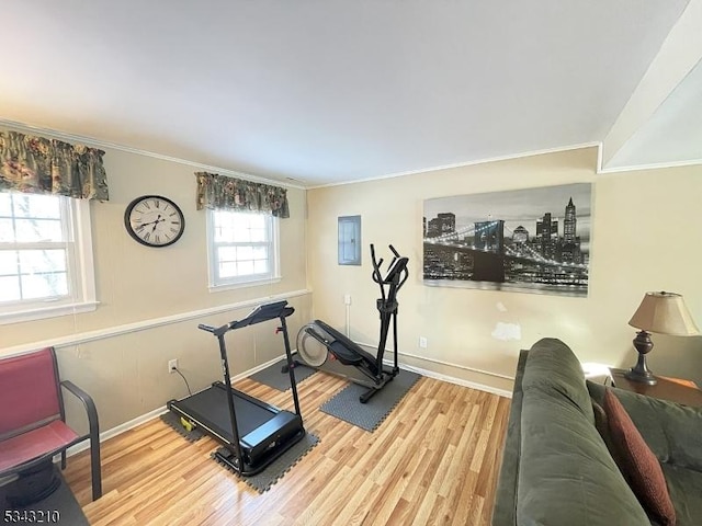 workout room with electric panel, ornamental molding, baseboards, and wood finished floors