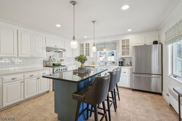 kitchen with a breakfast bar, white cabinets, under cabinet range hood, and stainless steel appliances