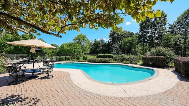 view of pool featuring a fenced in pool, a patio, and fence