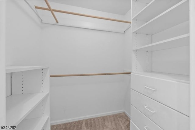 spacious closet with light carpet