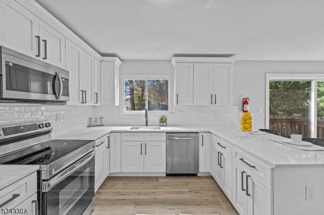 kitchen featuring a peninsula, plenty of natural light, appliances with stainless steel finishes, and a sink