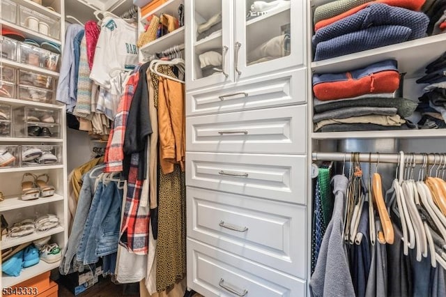 view of walk in closet