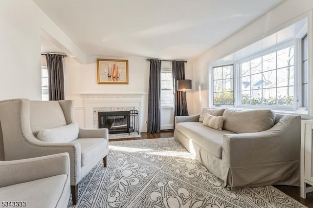 living room featuring wood finished floors and a premium fireplace