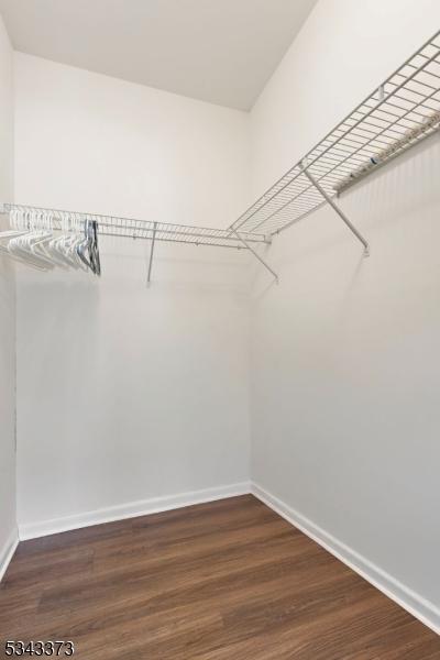 spacious closet with dark wood-style floors