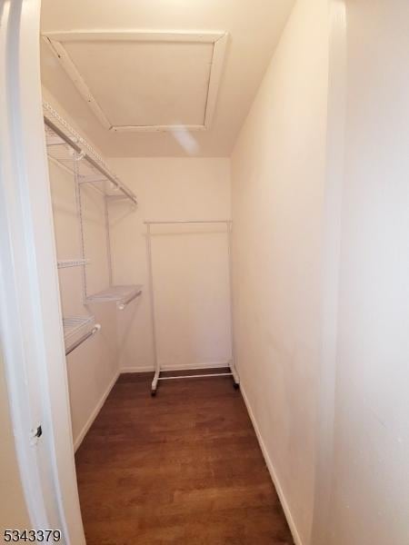 spacious closet with dark wood-type flooring