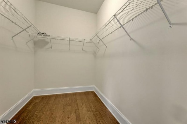 walk in closet with dark wood-type flooring