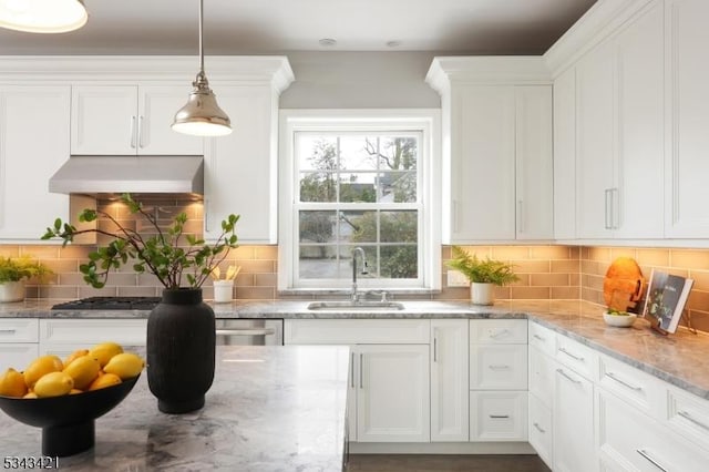 kitchen with under cabinet range hood, white cabinets, and a sink