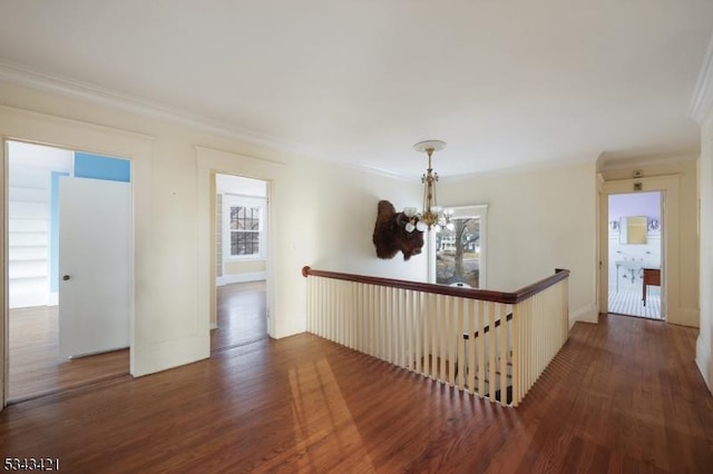 hall with an inviting chandelier, wood finished floors, and a healthy amount of sunlight