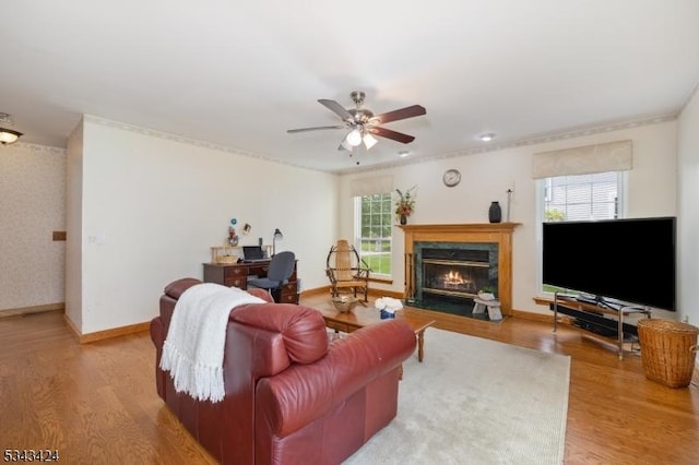 living area with light wood finished floors, a fireplace, a ceiling fan, baseboards, and crown molding