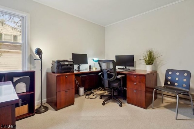 office area featuring light colored carpet and crown molding