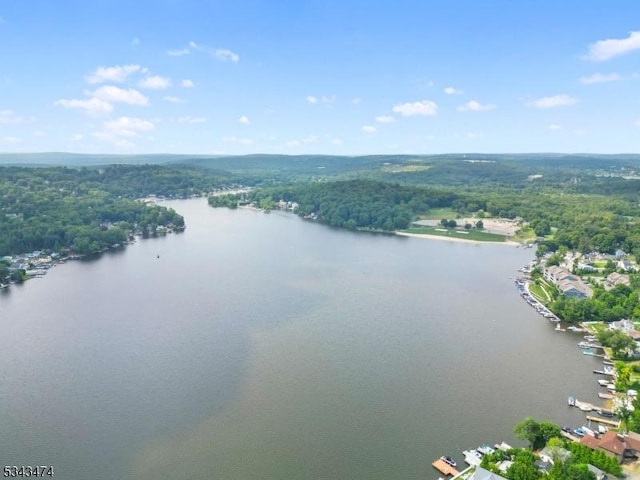 106 Chincopee Ave, Hopatcong Boro, NJ 07843 - aerial view of a large body of water and a heavily wooded area