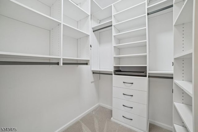 walk in closet featuring light colored carpet