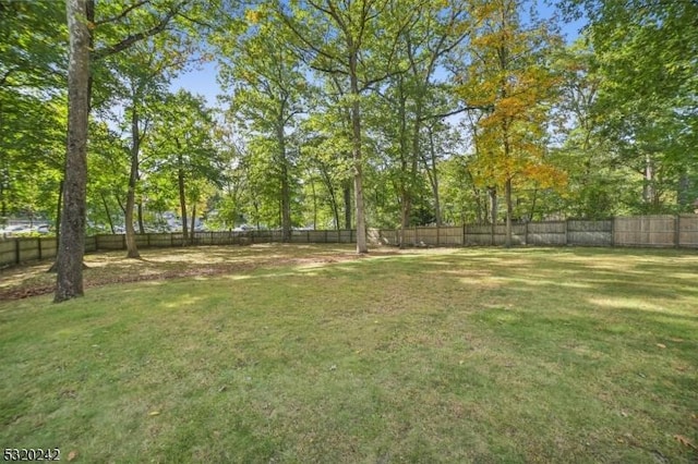 view of yard with a fenced backyard